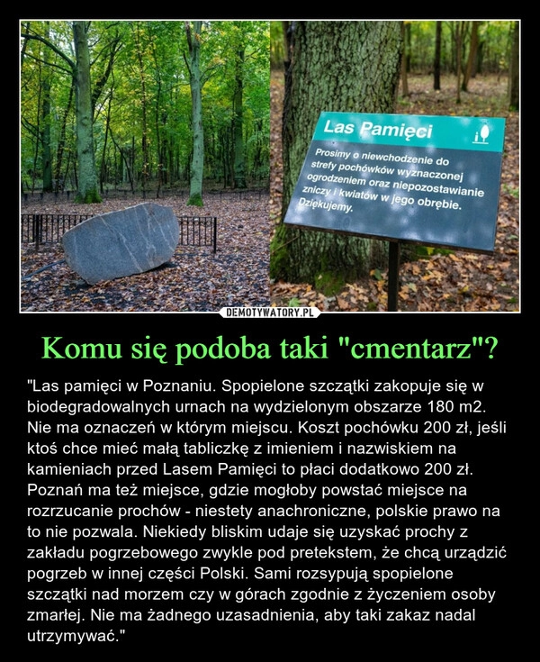 
    Komu się podoba taki "cmentarz"?