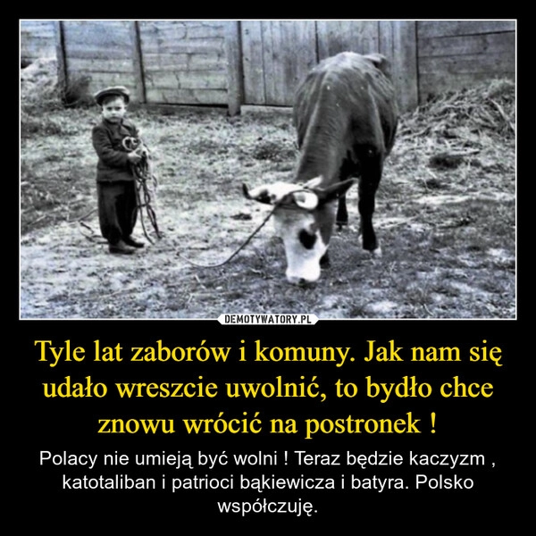 
    Tyle lat zaborów i komuny. Jak nam się udało wreszcie uwolnić, to bydło chce znowu wrócić na postronek !