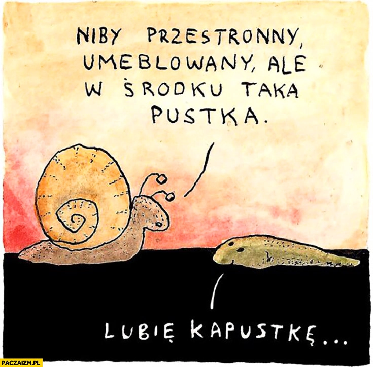 
    Niby przestronny umeblowany ale w środku taka pustka lubię kapustkę ślimak