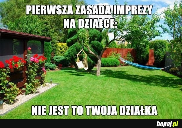 
    Impreza na działce