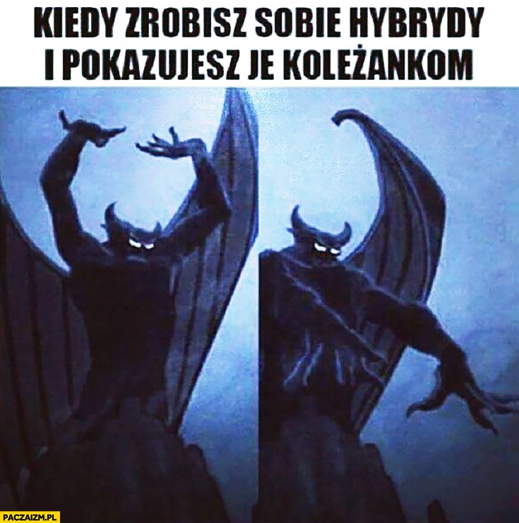 
    Kiedy zrobisz sobie hybrydy i pokazujesz je koleżankom