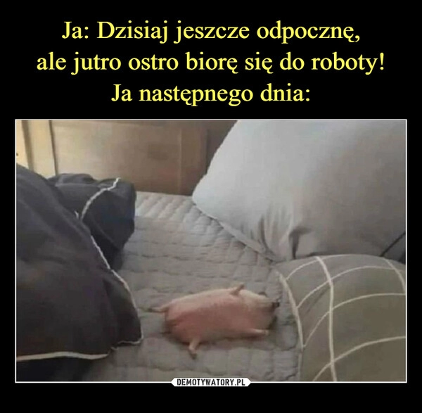 
    Ja: Dzisiaj jeszcze odpocznę,
ale jutro ostro biorę się do roboty!
Ja następnego dnia: