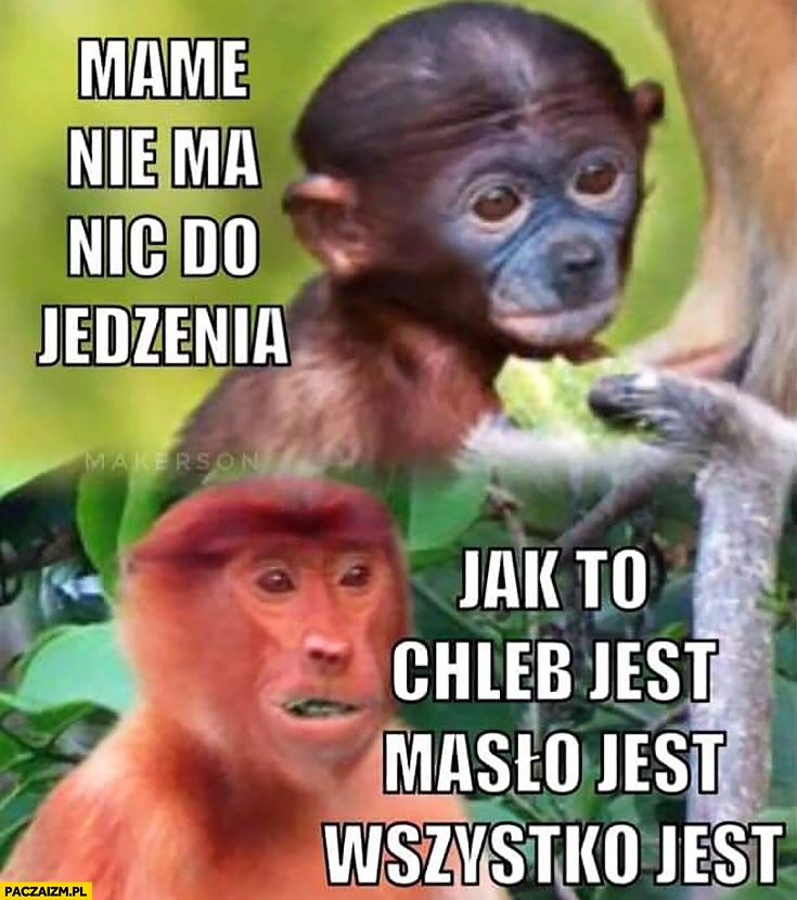 
    Mame nie ma nic do jedzenia, jak to chleb jest, masło jest wszystko jest typowy Polak nosacz małpa