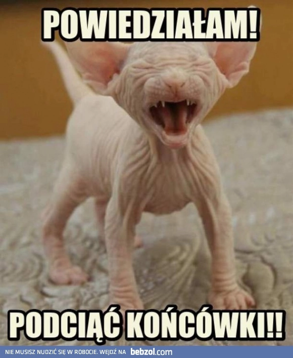 
    Końcówki