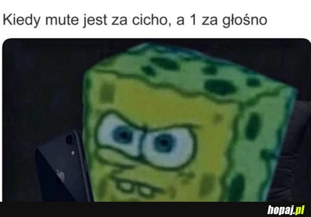 
    Cicho