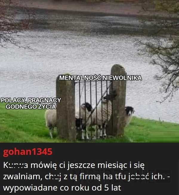 
    Mentalność niewolnika