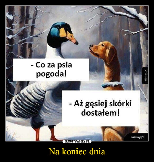 
    Na koniec dnia