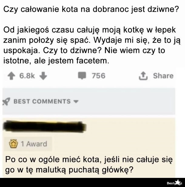 
    Całowanie kota na dobranoc 