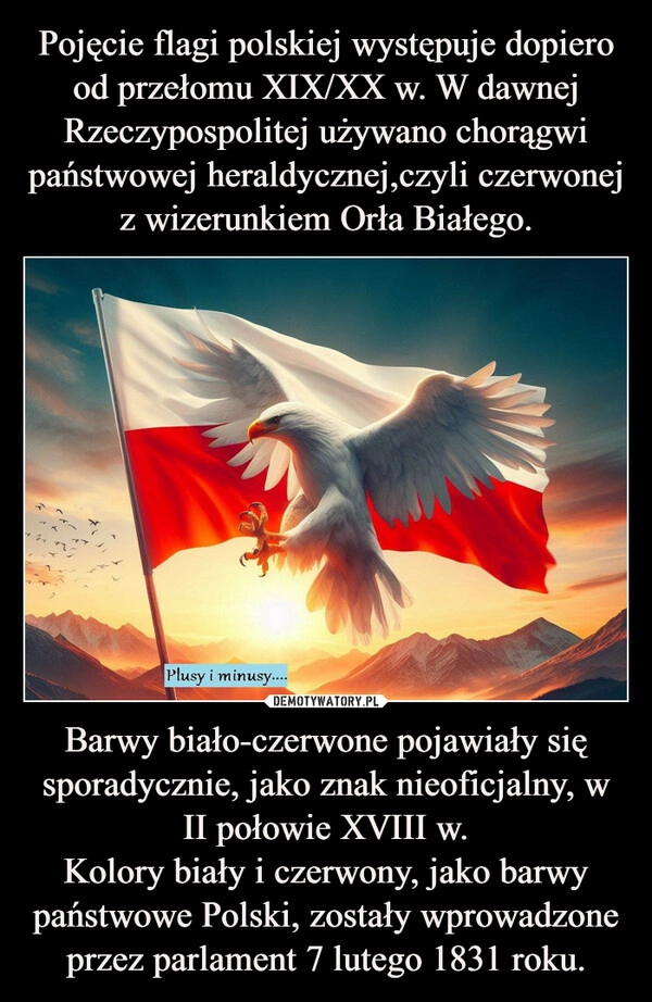 
    Pojęcie flagi polskiej występuje dopiero od przełomu XIX/XX w. W dawnej Rzeczypospolitej używano chorągwi państwowej heraldycznej,czyli czerwonej z wizerunkiem Orła Białego. Barwy biało-czerwone pojawiały się sporadycznie, jako znak nieoficjalny, w II połowie XVIII w.
Kolory biały i czerwony, jako barwy państwowe Polski, zostały wprowadzone przez parlament 7 lutego 1831 roku.