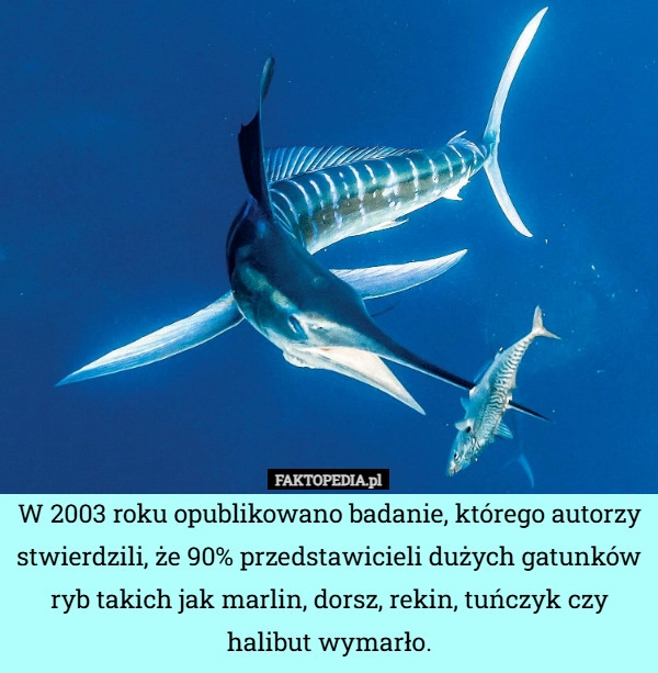 
    W 2003 roku opublikowano badanie, którego autorzy stwierdzili, że 90% przedstawicieli