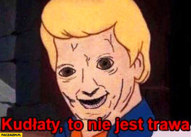 
    Kudłaty to nie jest trawa Scooby Doo