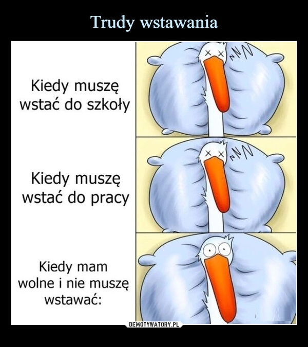 
    Trudy wstawania