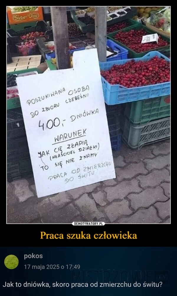 
    Praca