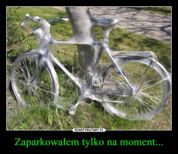 
    Zaparkowałem tylko na moment...