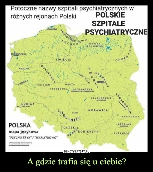 
    A gdzie trafia się u ciebie?