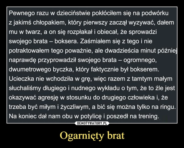 
    Ogarnięty brat