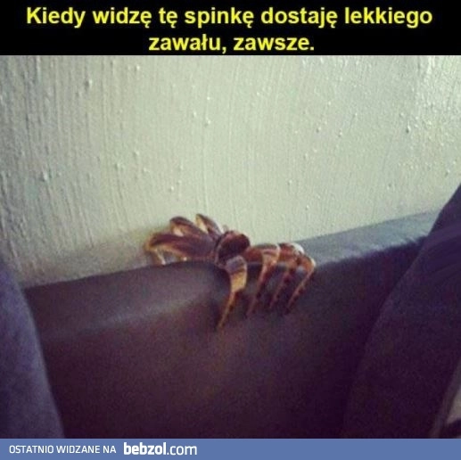 
    Spinka, po której dostaniesz zawału