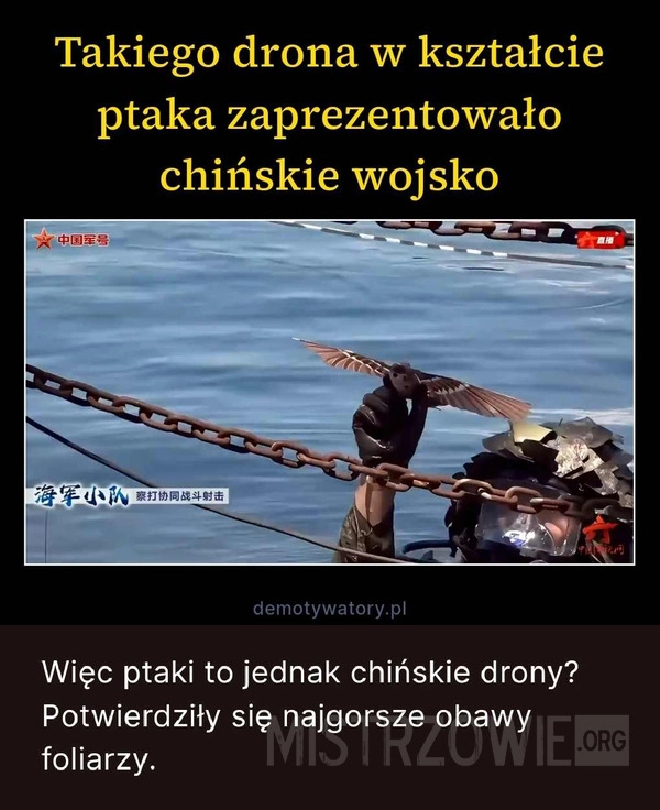 
    Dron w kształcie ptaka