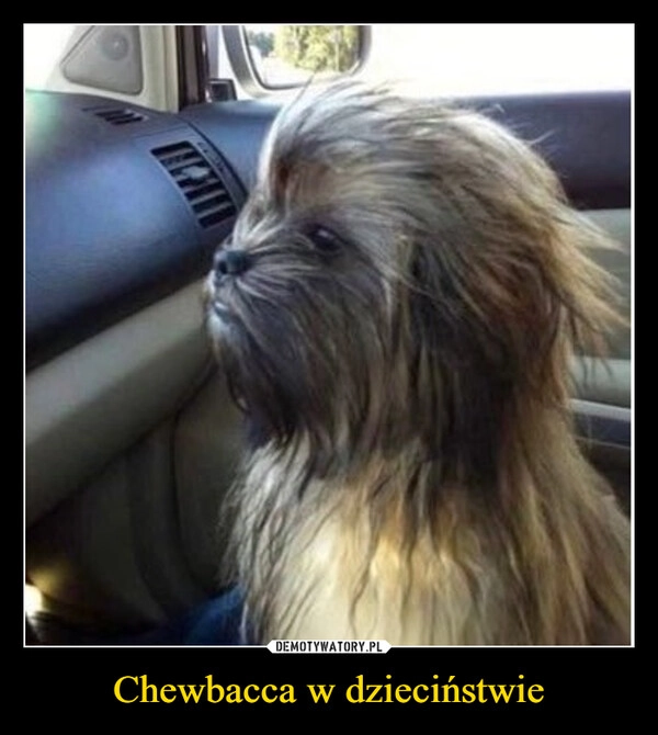
    Chewbacca w dzieciństwie