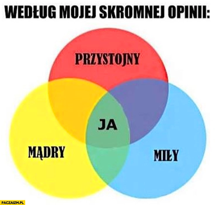 
    Według mojej skromnej opinii przystojny mądry miły ja kółka wykres