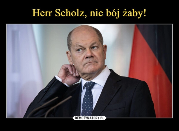 
    Herr Scholz, nie bój żaby!