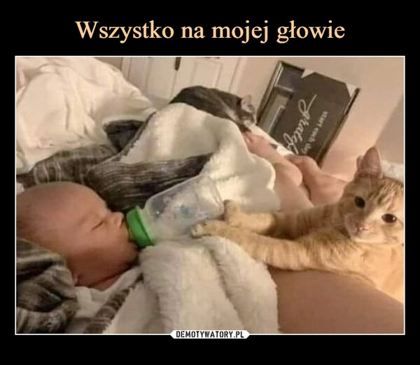 
    Wszystko na mojej głowie