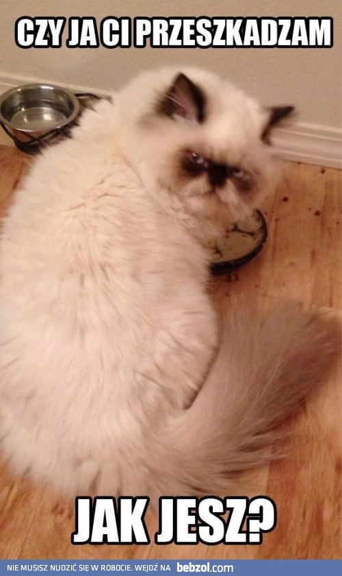 
    Czy ja ci przeszkadzam?