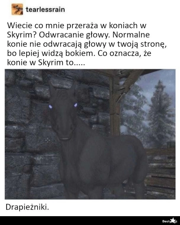 
    Konie w Skyrim 