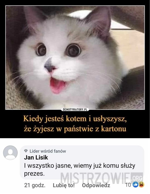 
    Państwo z kartonu