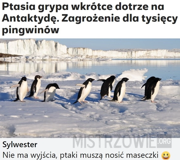 
    Ptasia grypa