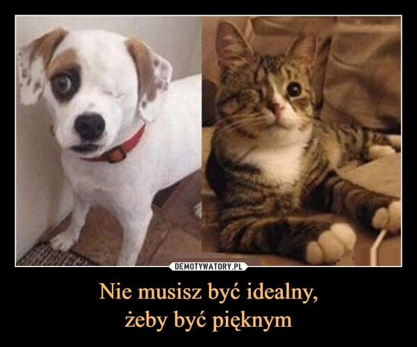 
    Nie musisz być idealny,
żeby być pięknym