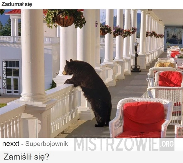 
    Zadumał się