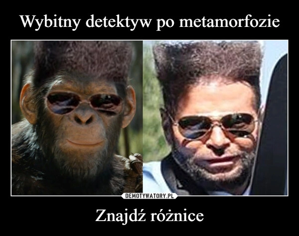 
    Wybitny detektyw po metamorfozie Znajdź różnice