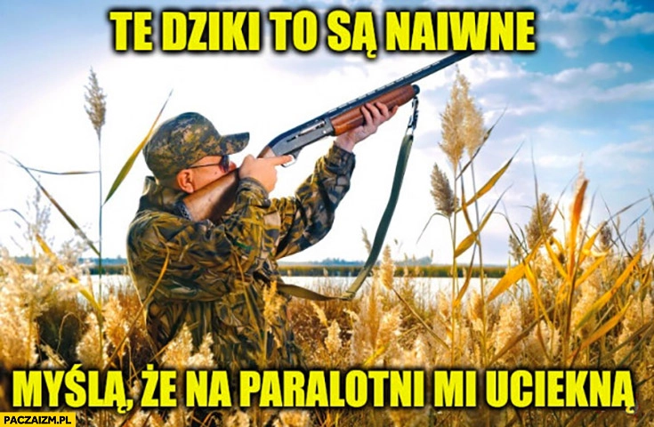 
    Myśliwy te dziki to są naiwne myślą, że na paralotni mi uciekną