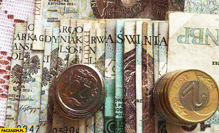 
    Arka Gdynia kurna świnia napis ułożony z banknotów pieniędzy