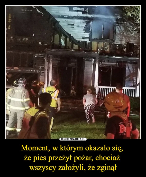 
    Moment, w którym okazało się, 
że pies przeżył pożar, chociaż 
wszyscy założyli, że zginął