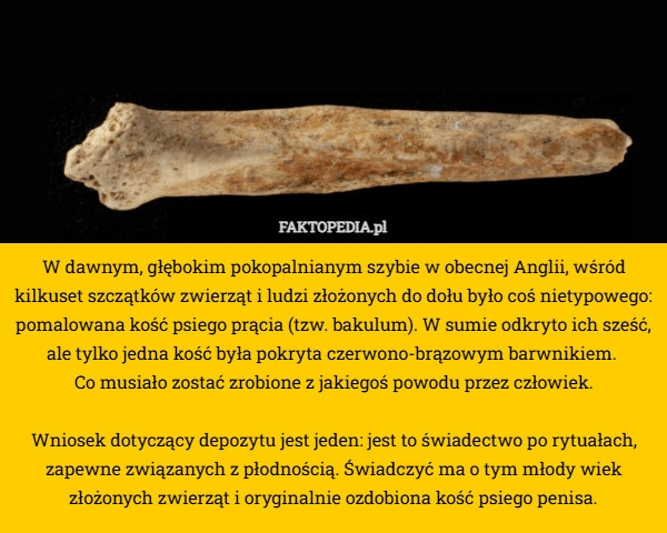 
    W dawnym, głębokim pokopalnianym szybie w obecnej Anglii, wśród kilkuset