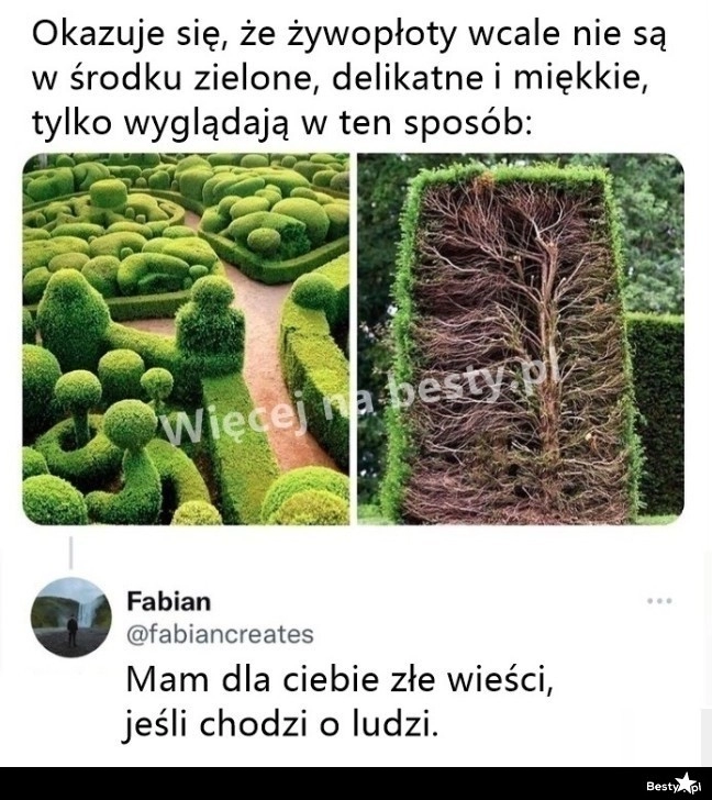 
    Niech ktoś mu powie 