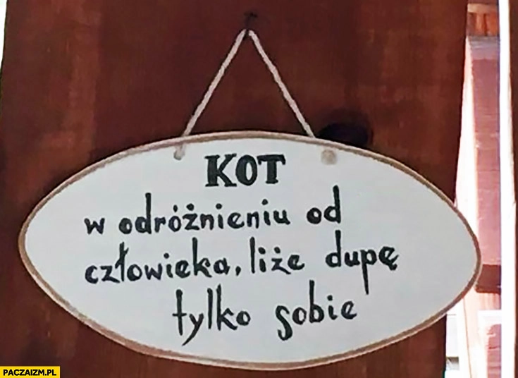 
    Kot w odróżnieniu od człowieka liże tyłek tylko sobie napis zawieszka