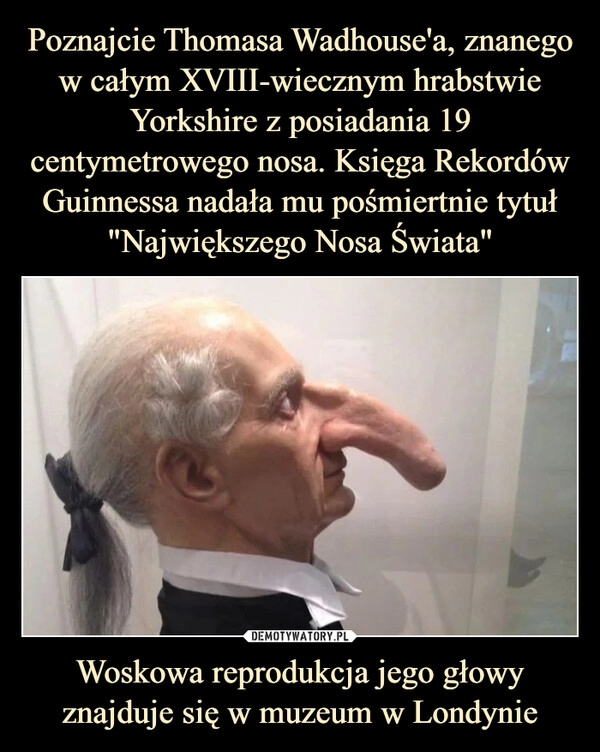 
    
Poznajcie Thomasa Wadhouse'a, znanego w całym XVIII-wiecznym hrabstwie Yorkshire z posiadania 19 centymetrowego nosa. Księga Rekordów Guinnessa nadała mu pośmiertnie tytuł "Największego Nosa Świata" Woskowa reprodukcja jego głowy znajduje się w muzeum w Londynie 