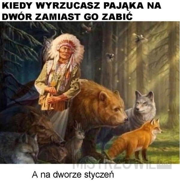 
    Pająk