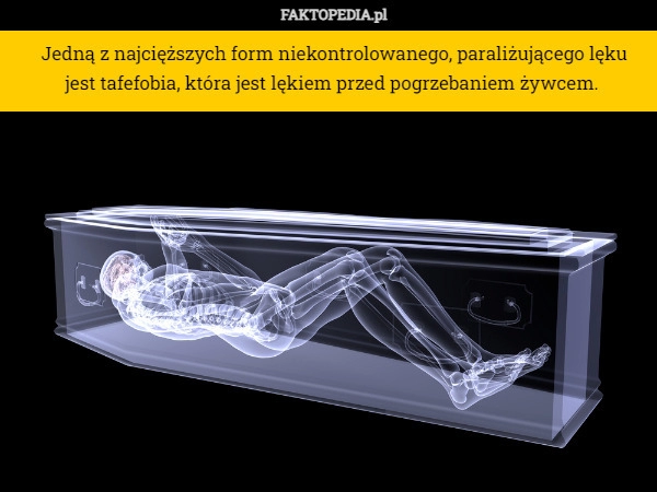 
    Jedną z najcięższych form niekontrolowanego, paraliżującego lęku jest tafefobia,