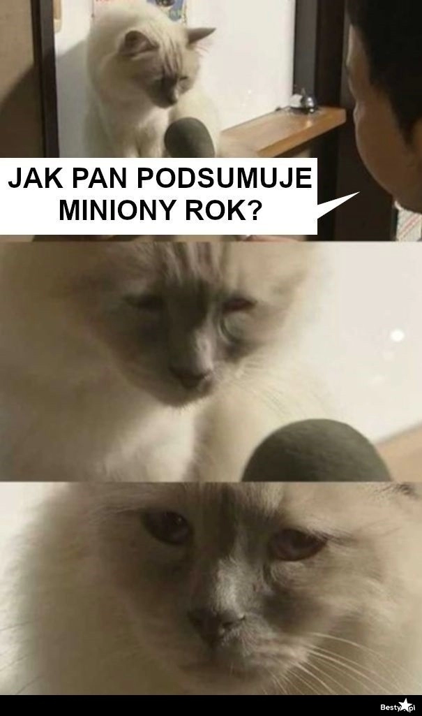 
    Miniony rok 