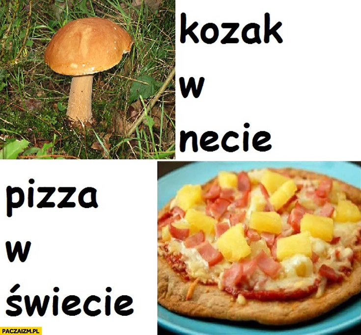 
    Kozak w necie pizza w świecie gra słów