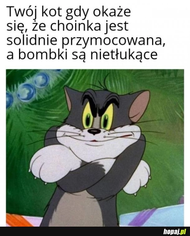 
    Choineczka