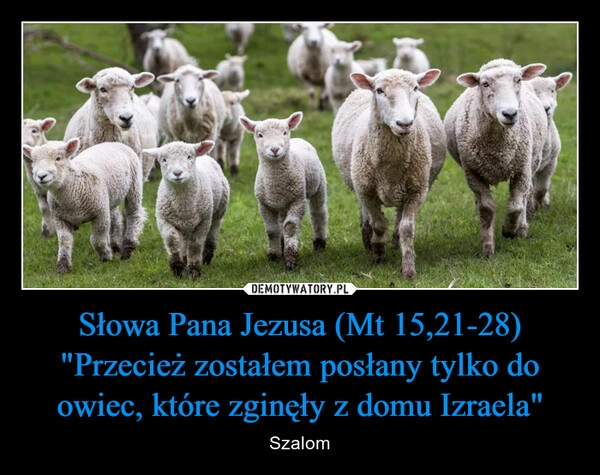 
    
Słowa Pana Jezusa (Mt 15,21-28) "Przecież zostałem posłany tylko do owiec, które zginęły z domu Izraela" 