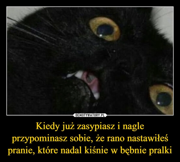 
    Kiedy już zasypiasz i nagle przypominasz sobie, że rano nastawiłeś pranie, które nadal kiśnie w bębnie pralki