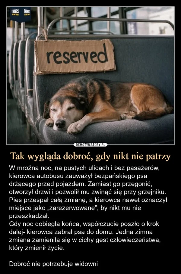 
    Tak wygląda dobroć, gdy nikt nie patrzy