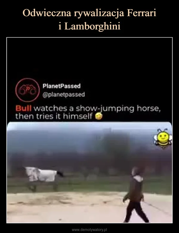 
    Odwieczna rywalizacja Ferrari i Lamborghini
