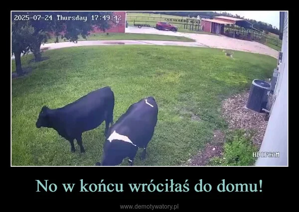 
    No w końcu wróciłaś do domu!